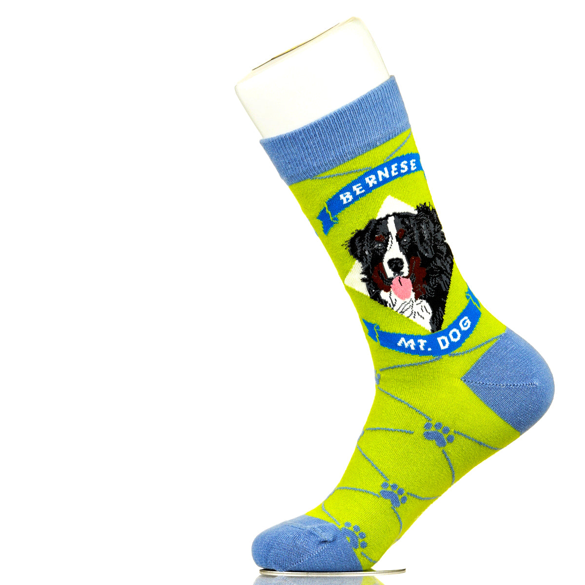 Bernese Mountain Dog | Argyle Pups