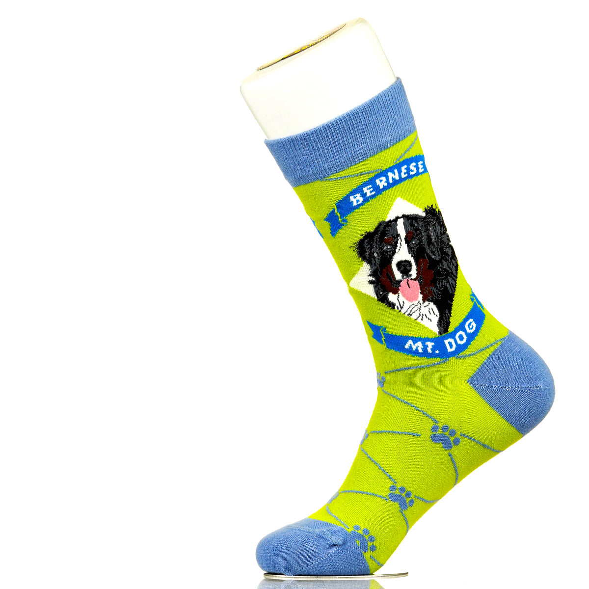 Bernese Mountain Dog | Argyle Pups