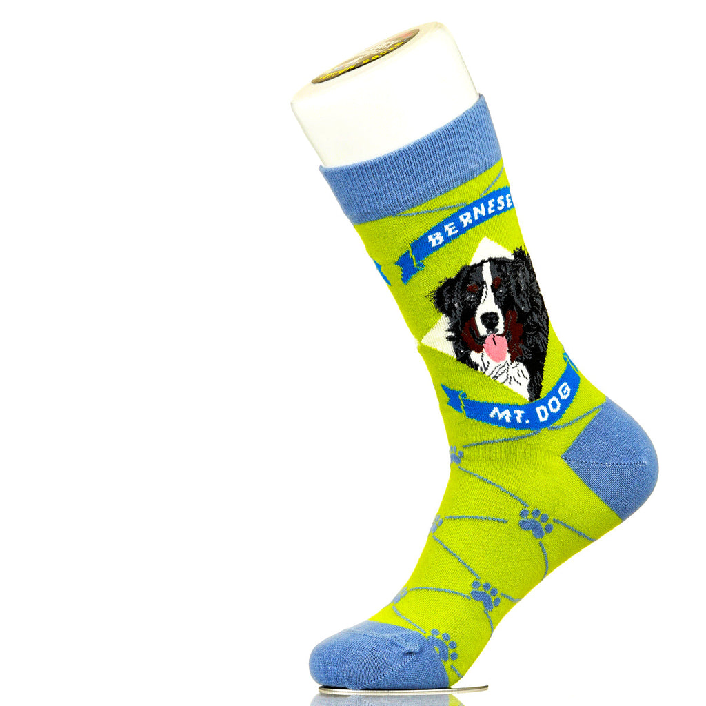 Bernese Mountain Dog | Argyle Pups