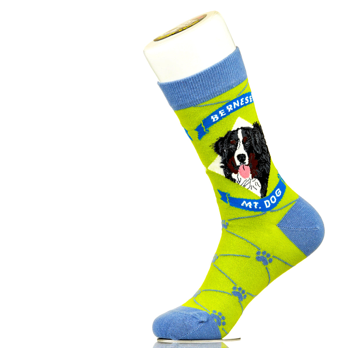 Bernese Mountain Dog | Argyle Pups