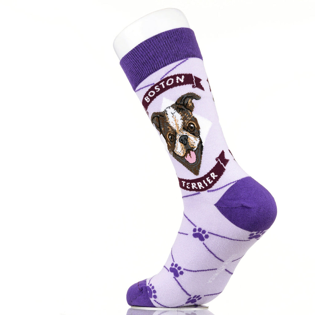 Boston Terrier | Argyle Pups