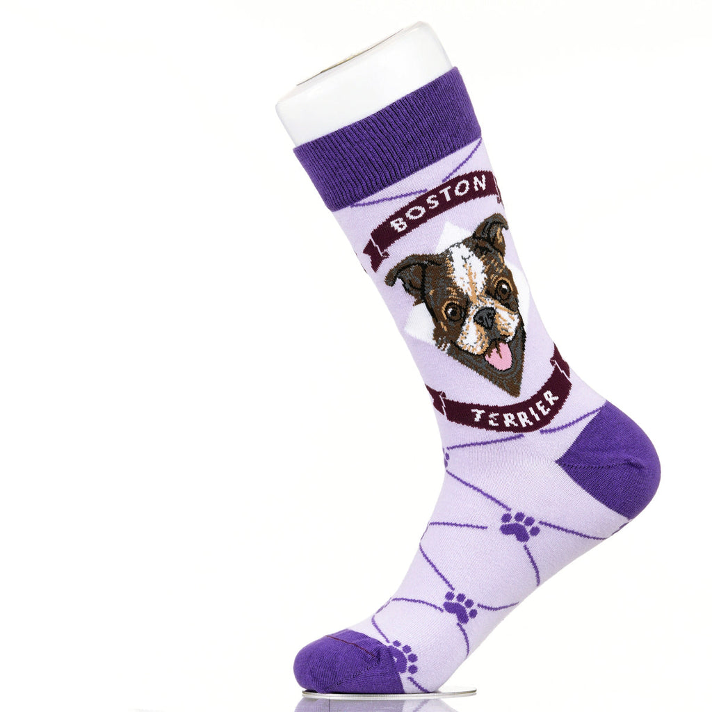Boston Terrier | Argyle Pups
