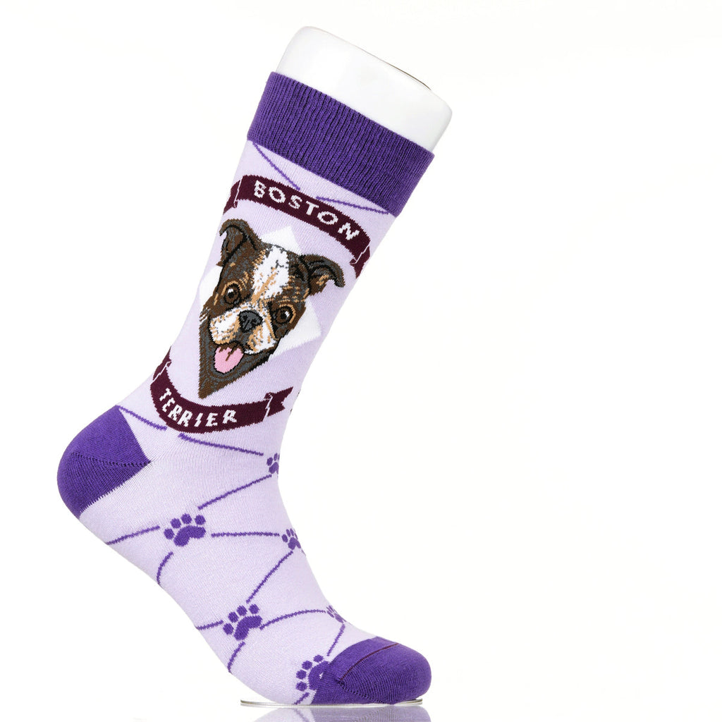 Boston Terrier | Argyle Pups