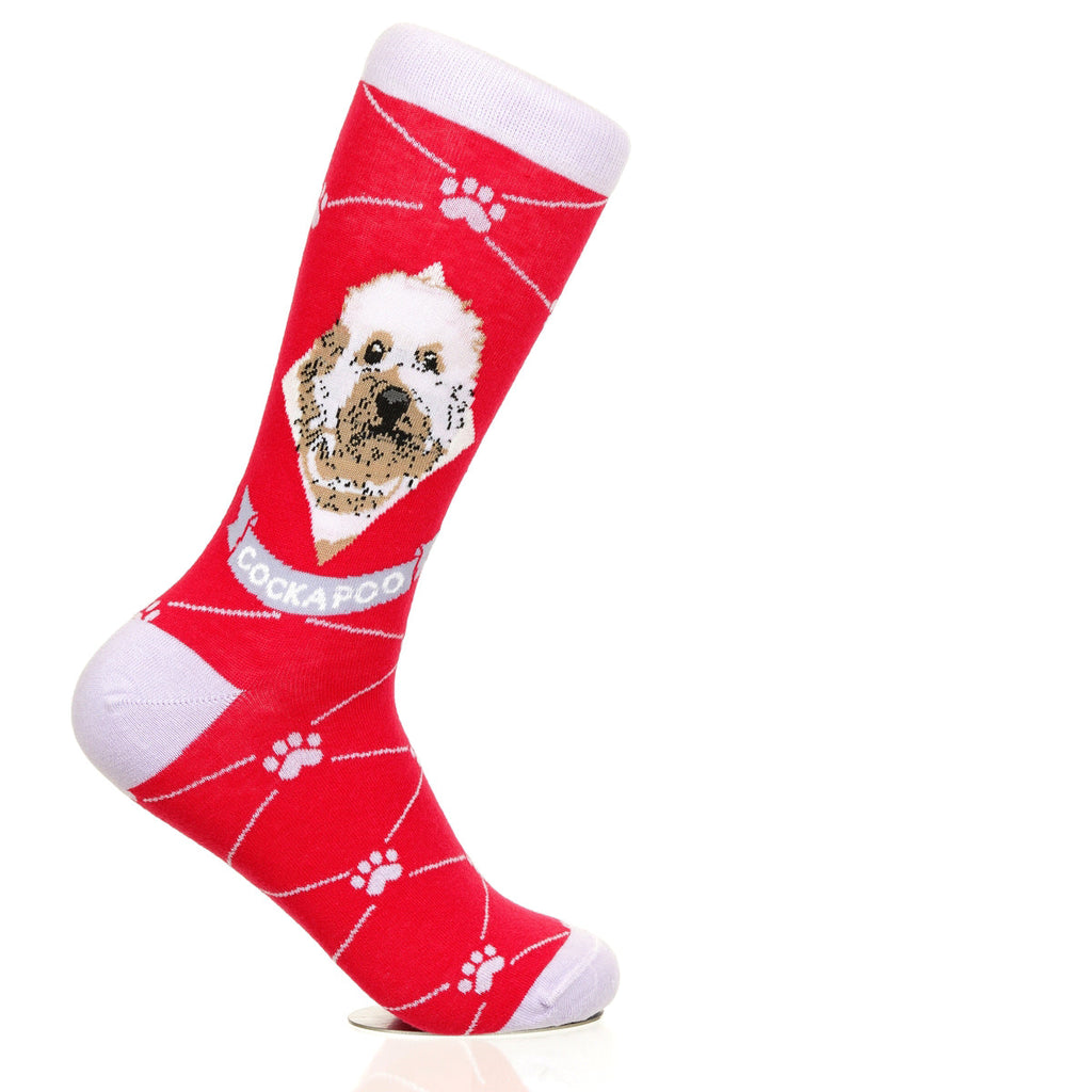 Cockapoo | Argyle Pups