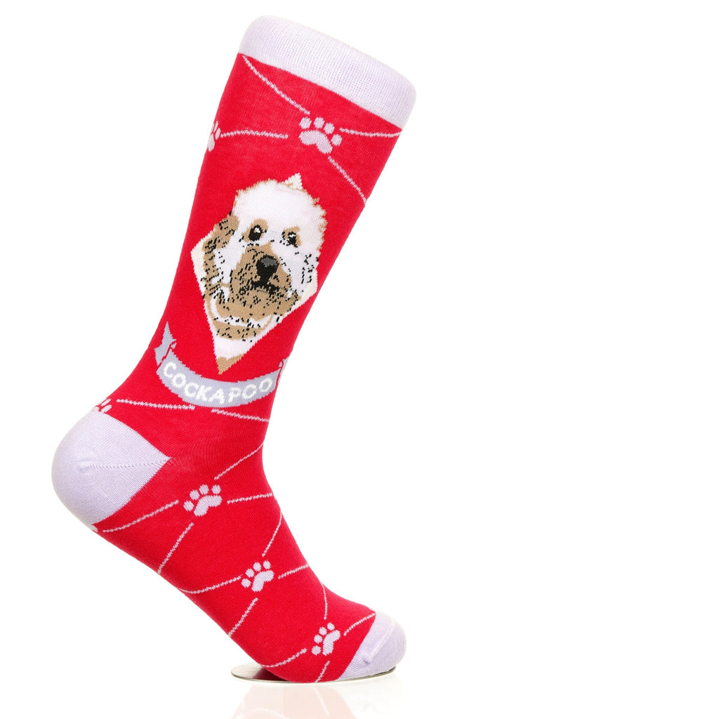 Cockapoo | Argyle Pups