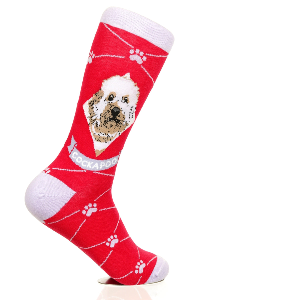 Cockapoo | Argyle Pups