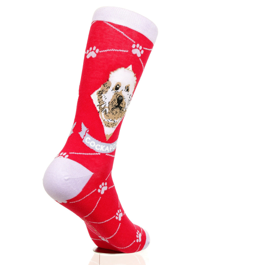 Cockapoo | Argyle Pups