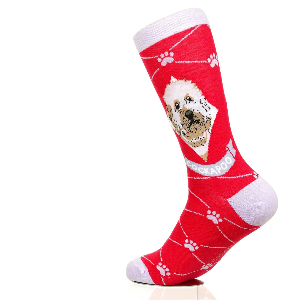 Cockapoo | Argyle Pups