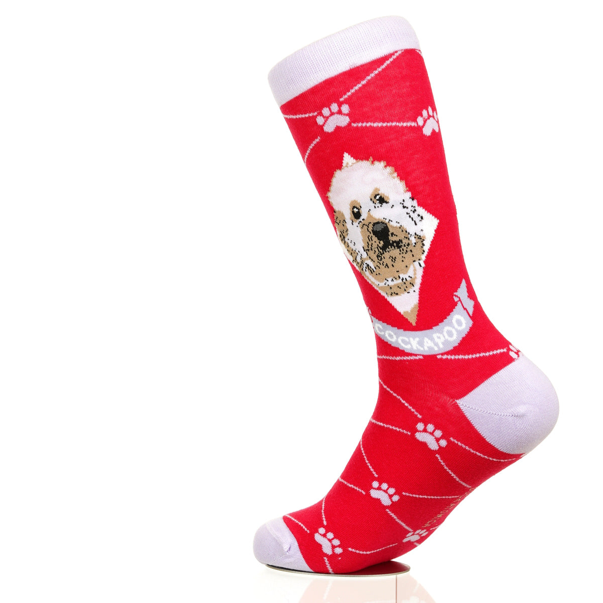 Cockapoo | Argyle Pups