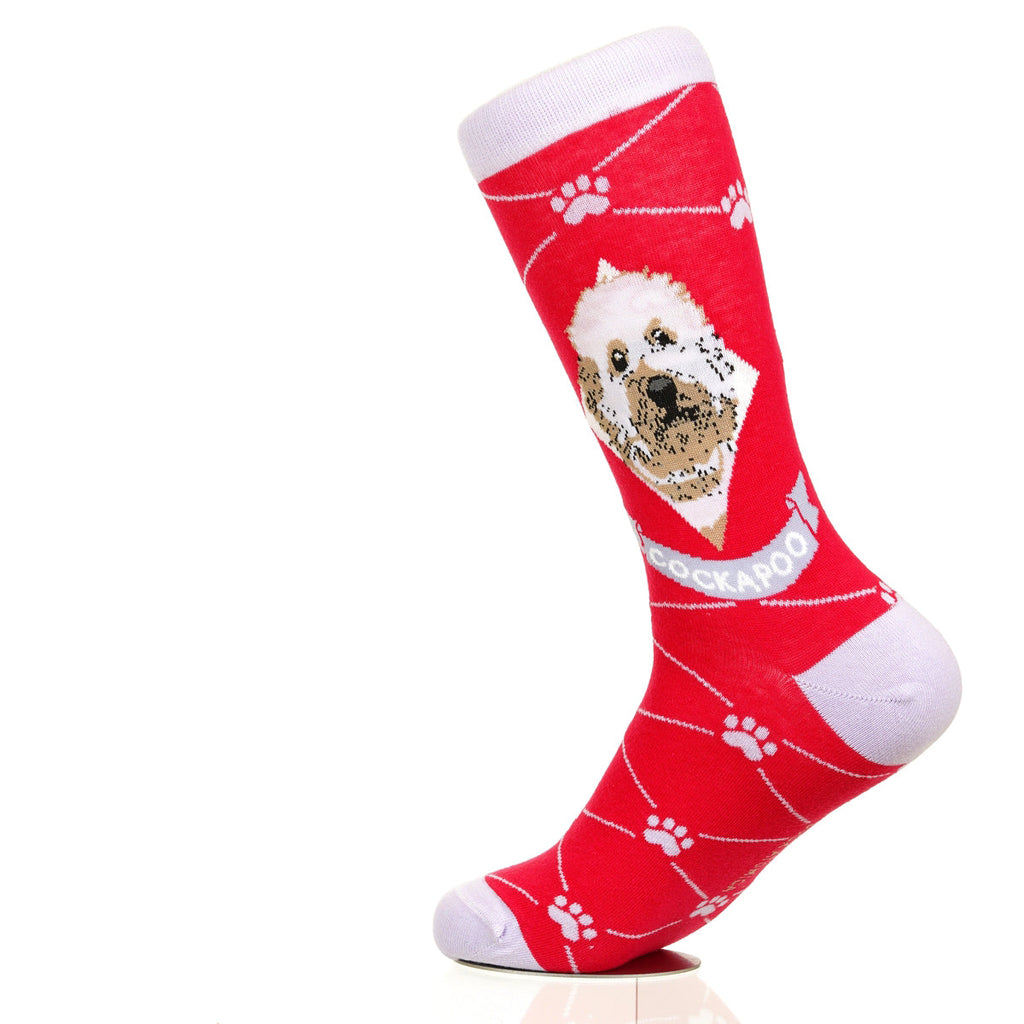 Cockapoo | Argyle Pups