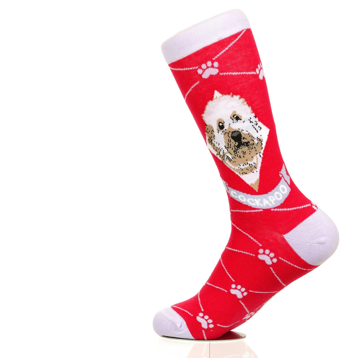 Cockapoo | Argyle Pups