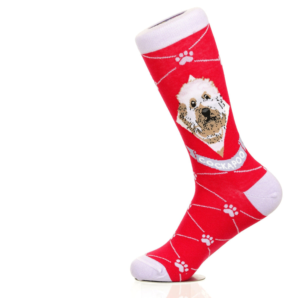 Cockapoo | Argyle Pups