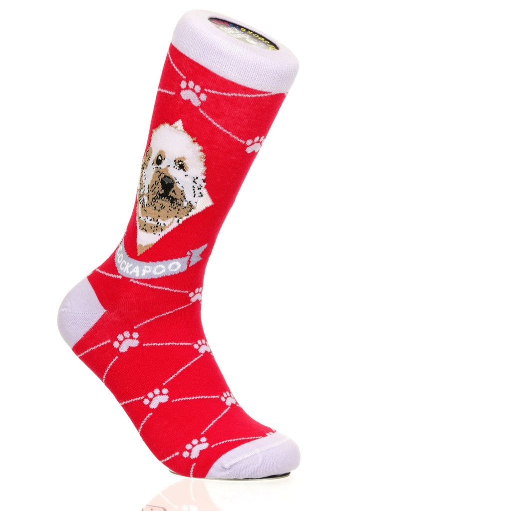 Cockapoo | Argyle Pups