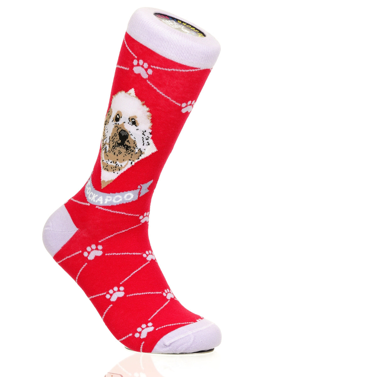 Cockapoo | Argyle Pups