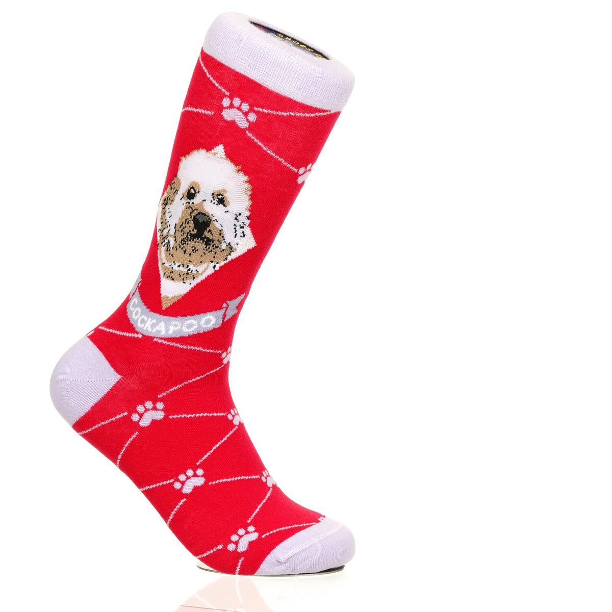 Cockapoo | Argyle Pups