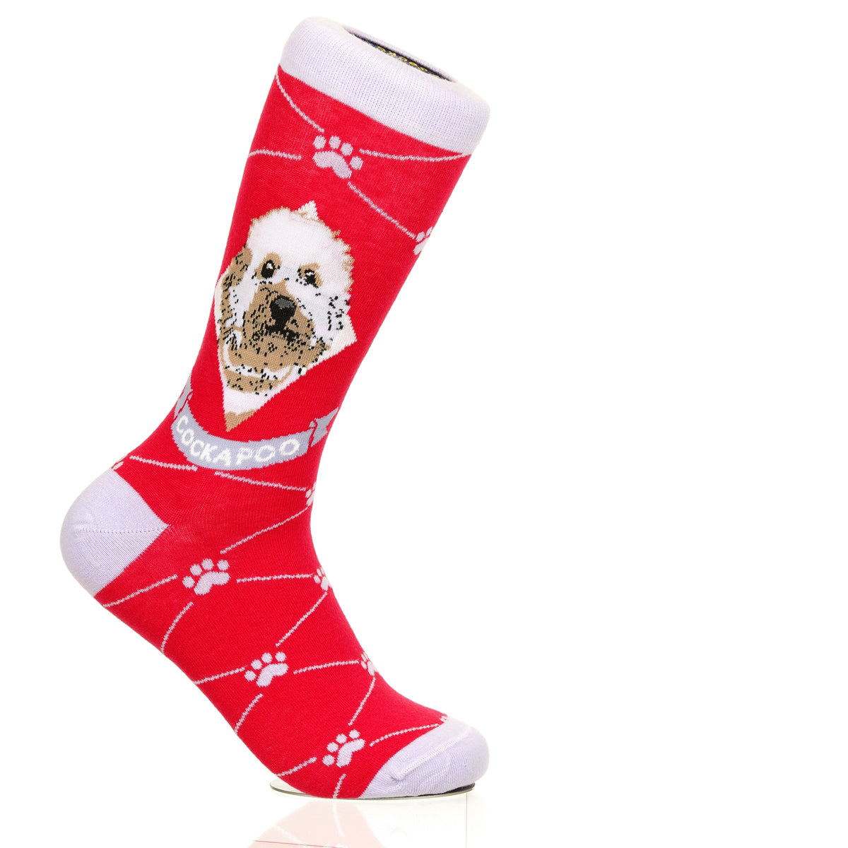 Cockapoo | Argyle Pups