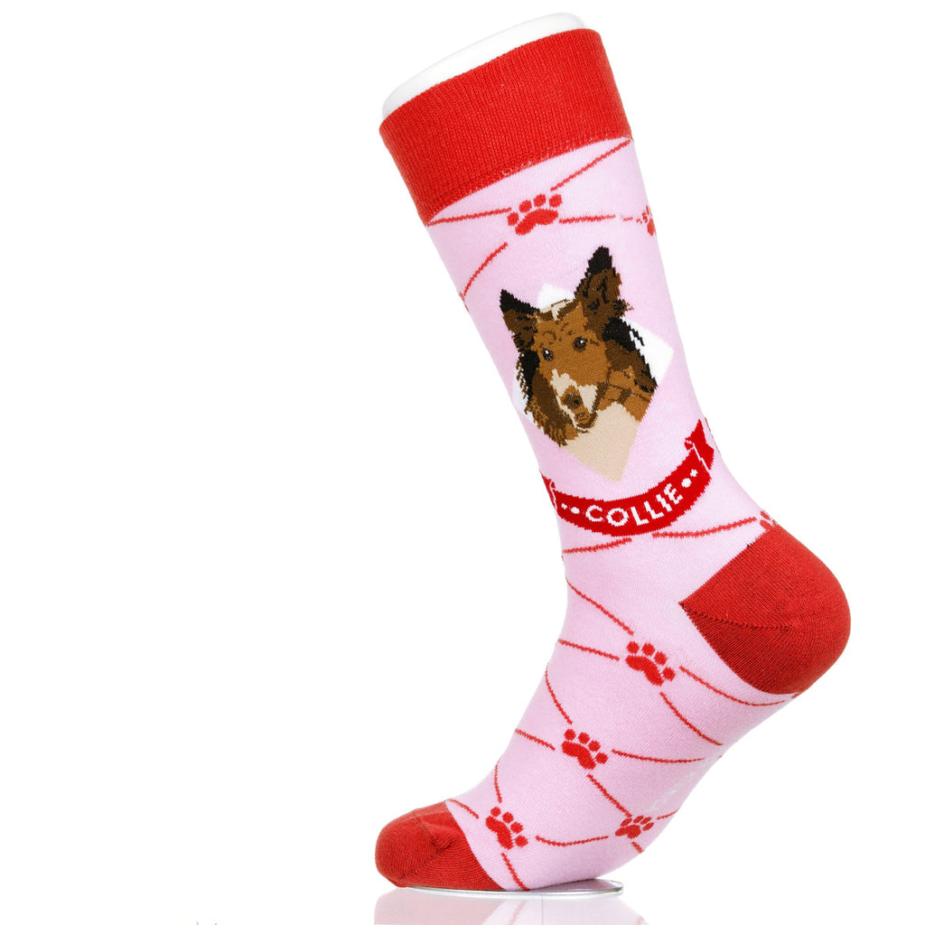 Collie