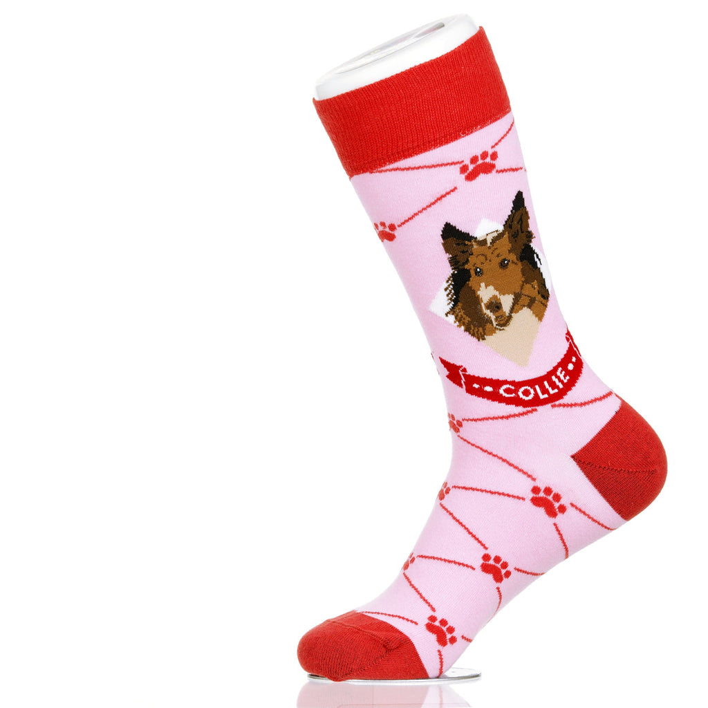 Collie
