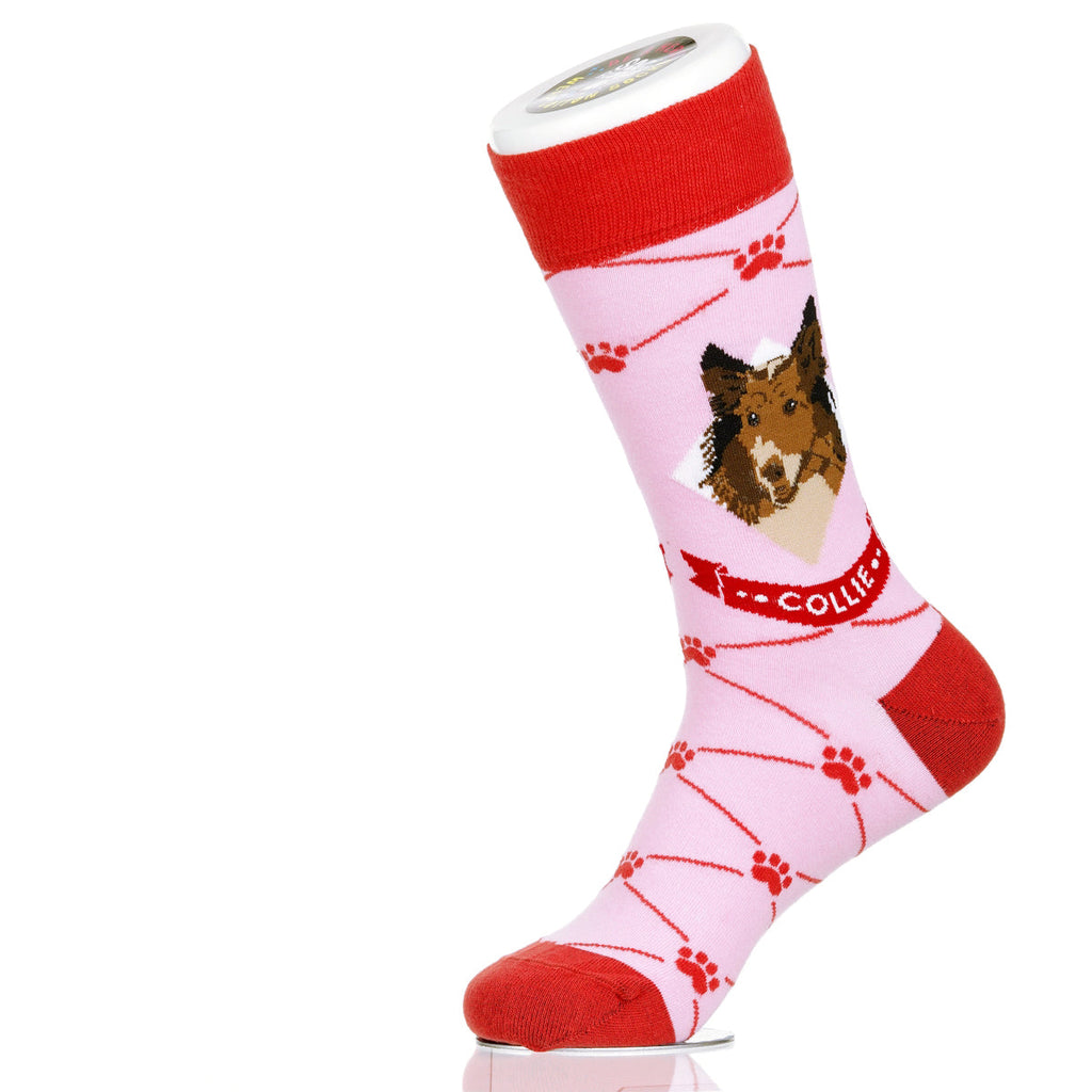 Collie