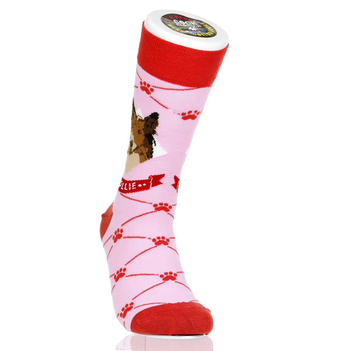 Collie