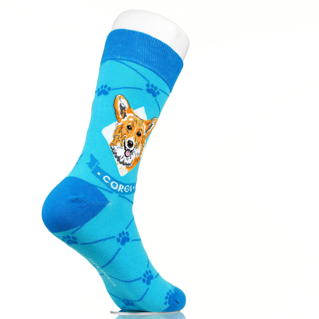 Corgie | Argyle Pups