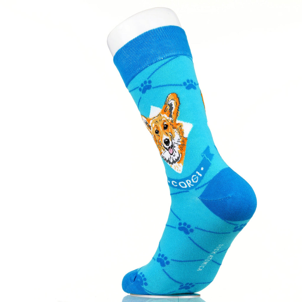 Corgie | Argyle Pups