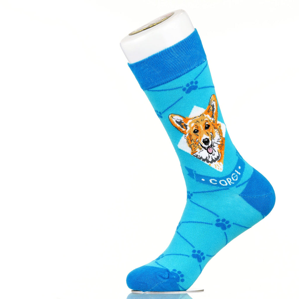 Corgie | Argyle Pups