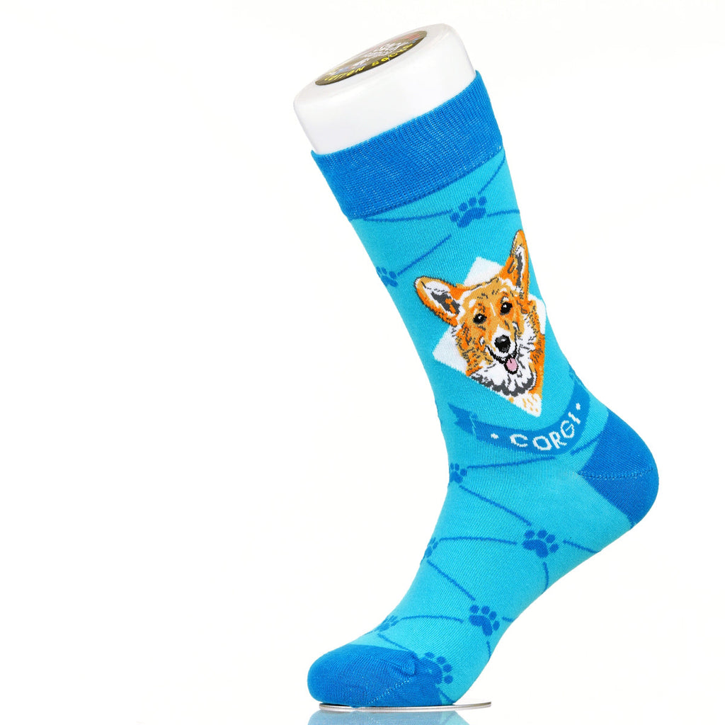 Corgie | Argyle Pups