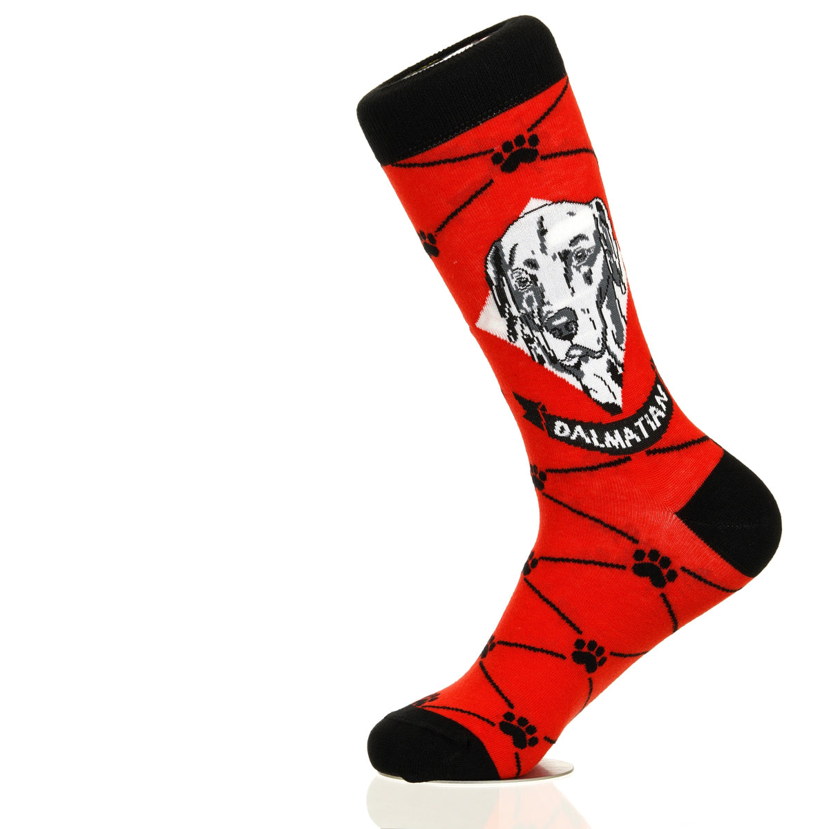 Dalmation | Argyle Pups