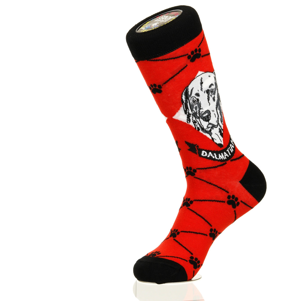 Dalmation | Argyle Pups