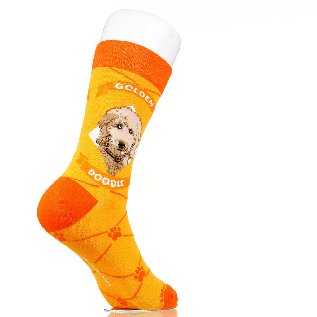 Goldendoodle | Argyle Pups