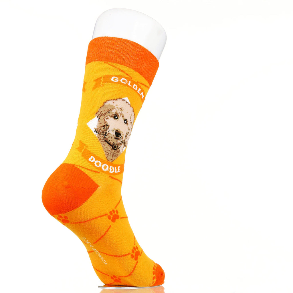 Goldendoodle | Argyle Pups
