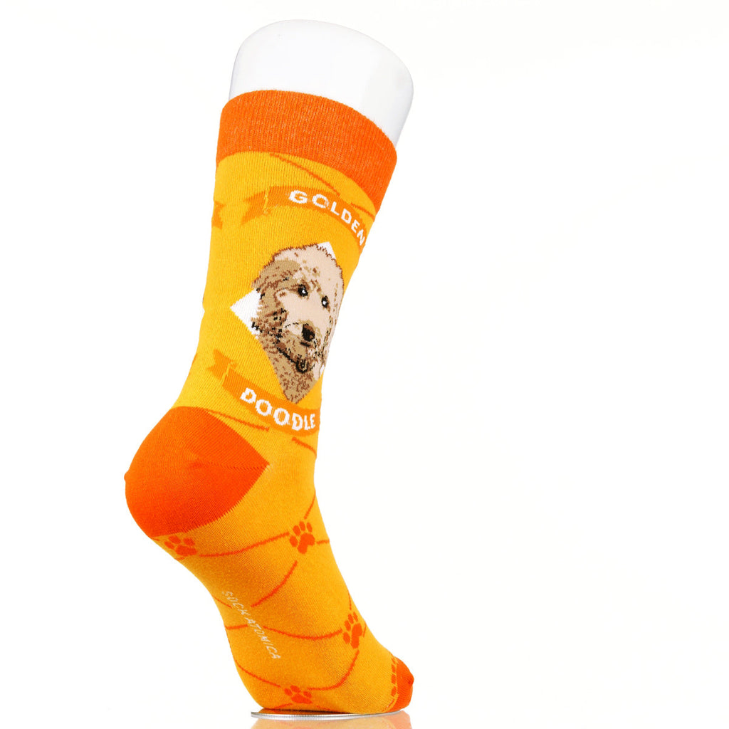 Goldendoodle | Argyle Pups
