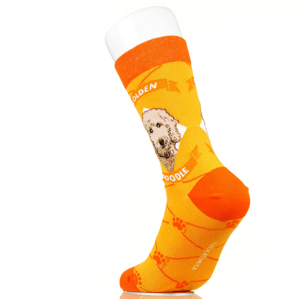 Goldendoodle | Argyle Pups