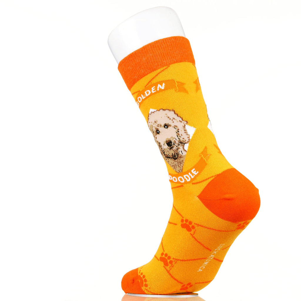 Goldendoodle | Argyle Pups