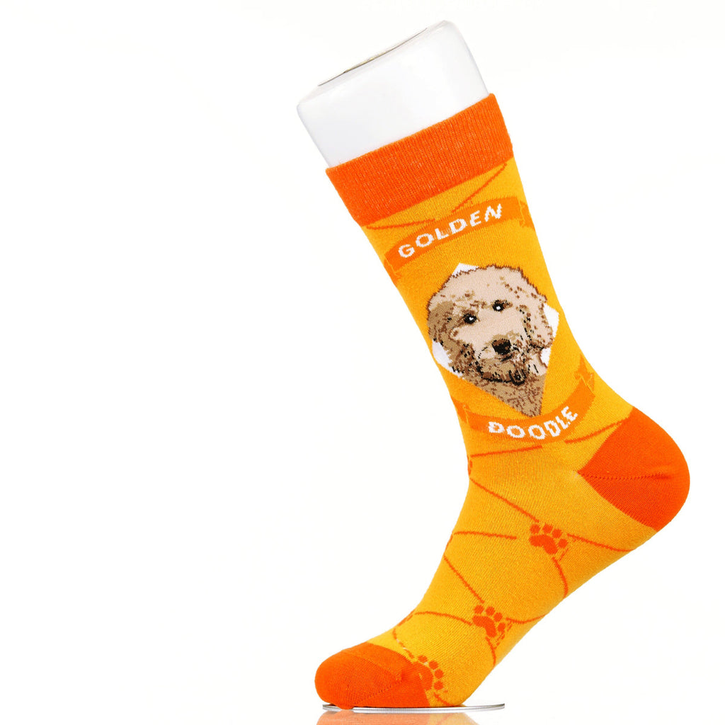 Goldendoodle | Argyle Pups