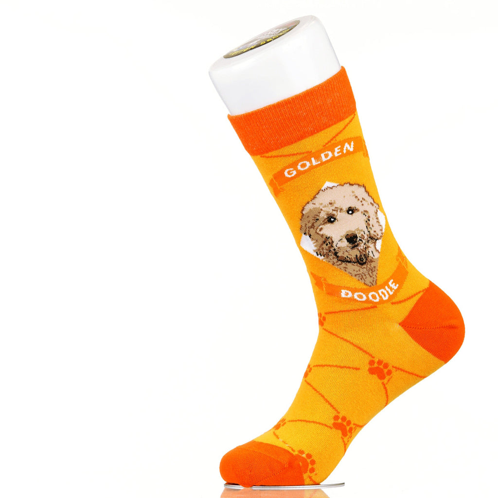 Goldendoodle | Argyle Pups