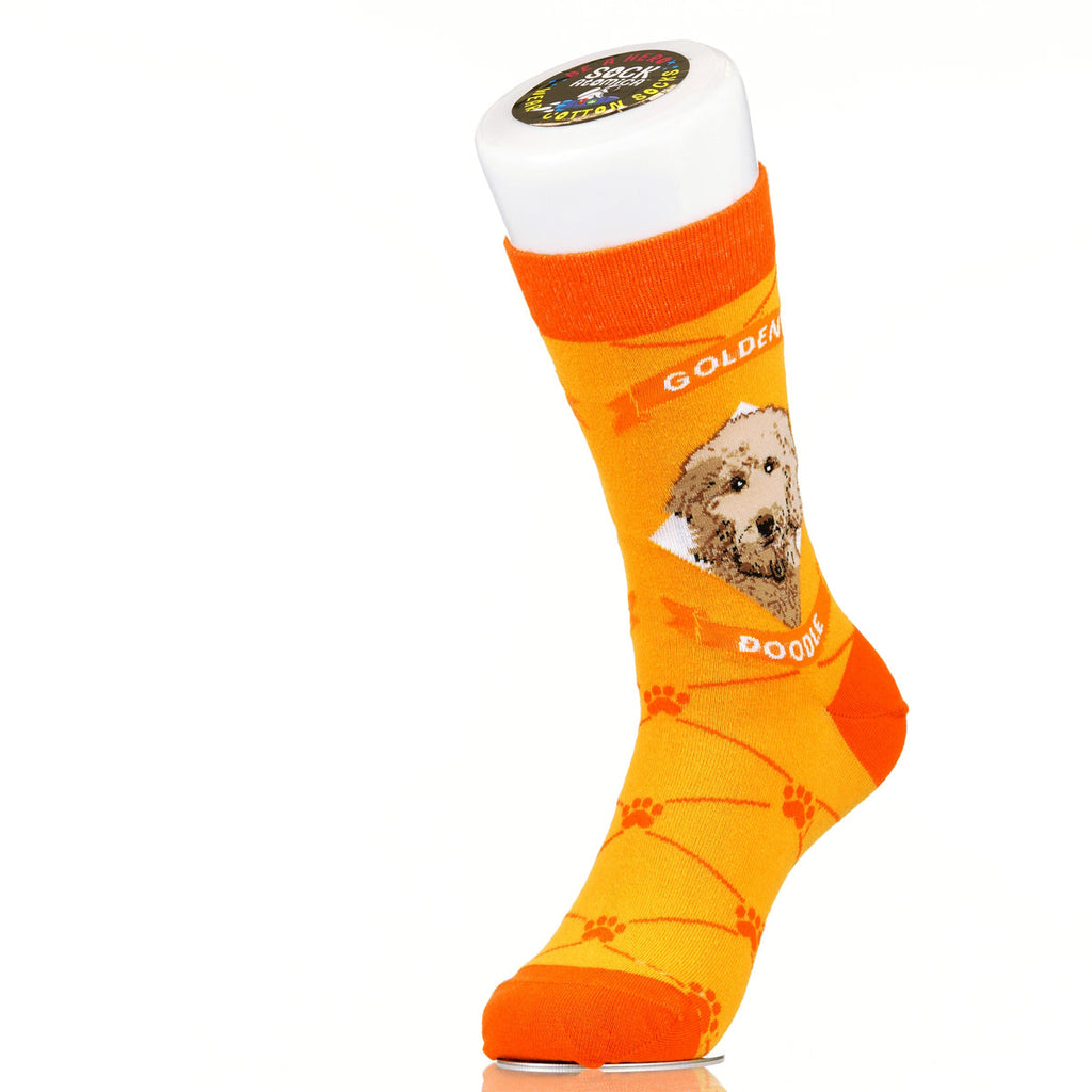 Goldendoodle | Argyle Pups