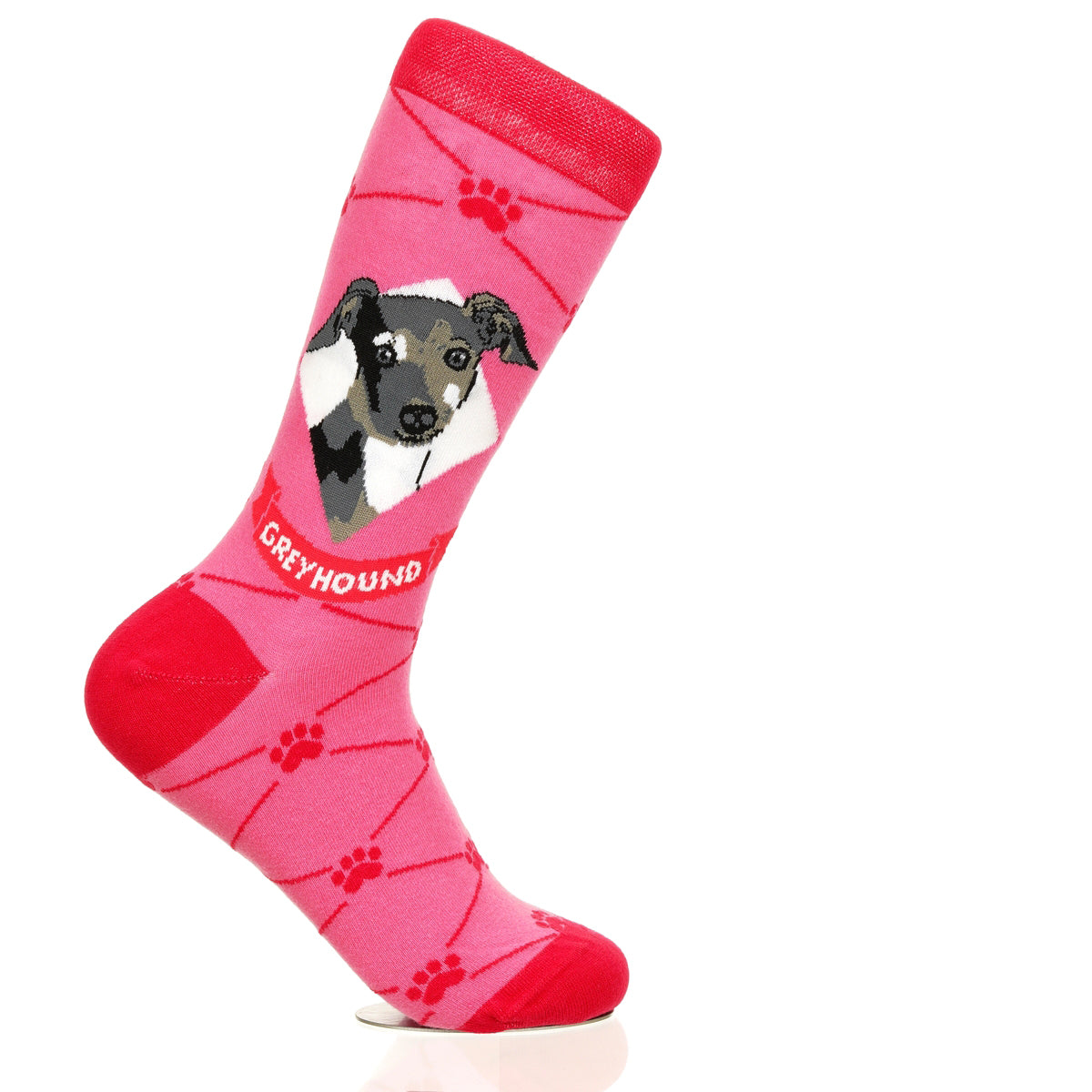 Greyhound | Argyle Pups