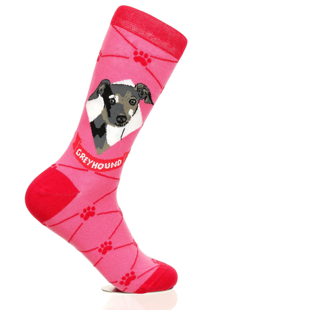 Greyhound | Argyle Pups