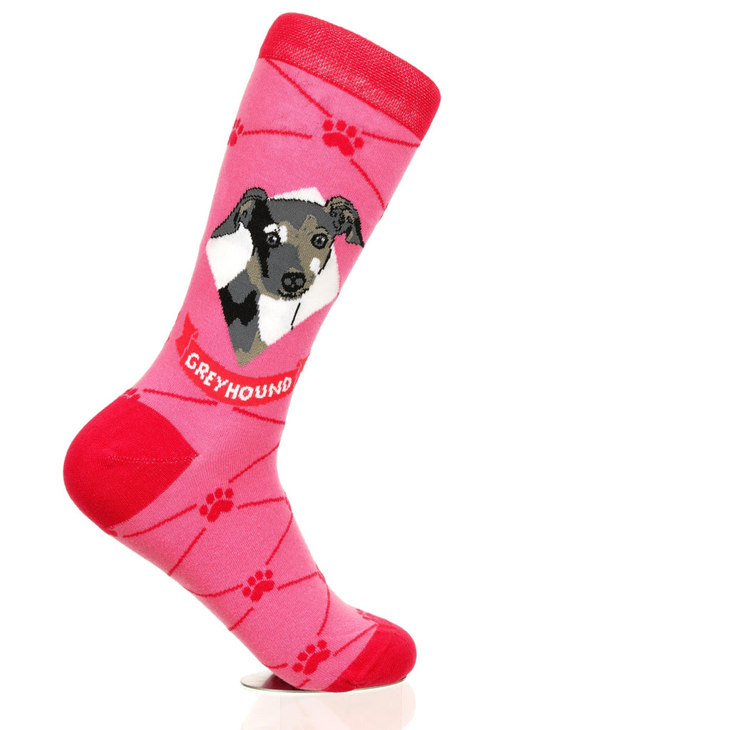 Greyhound | Argyle Pups