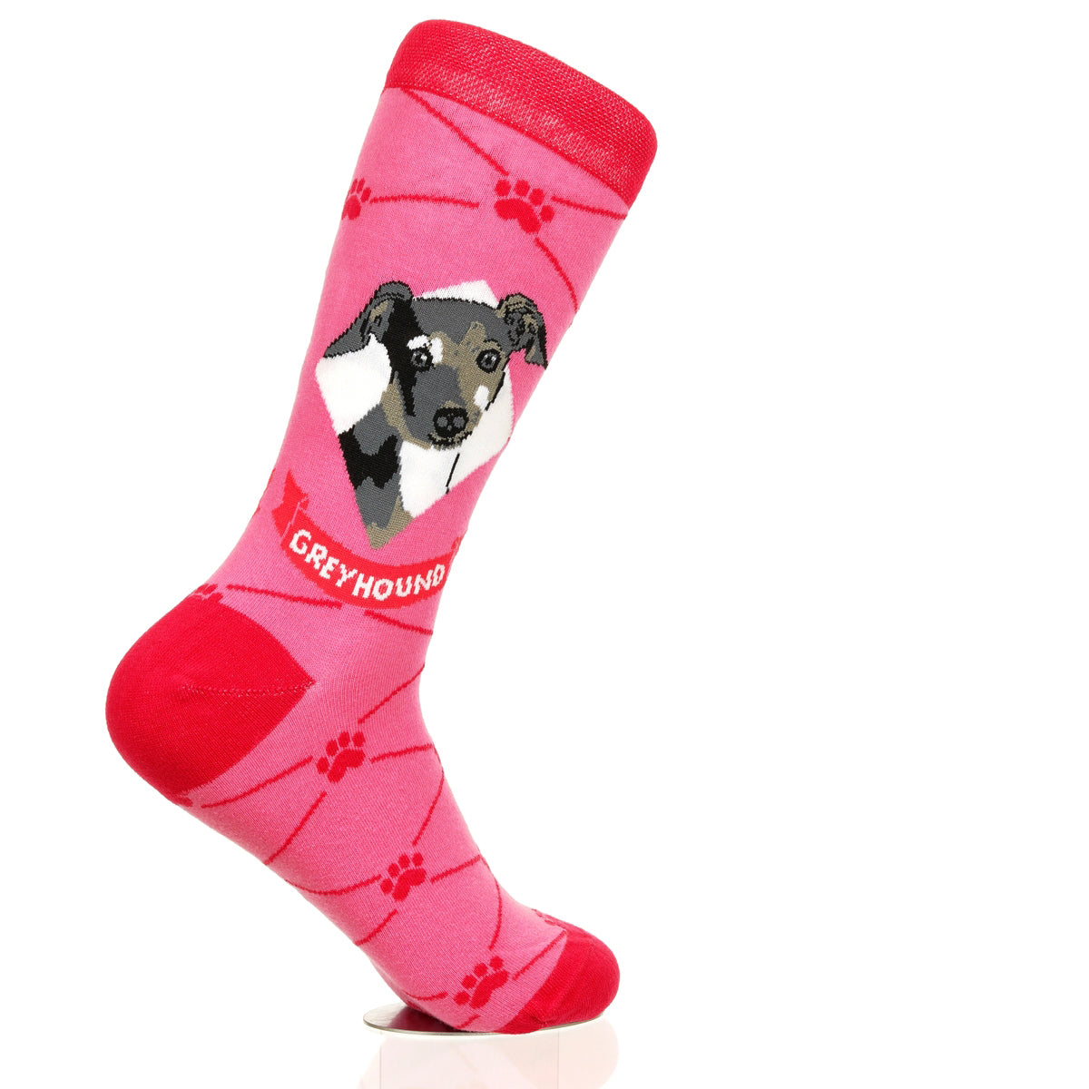 Greyhound | Argyle Pups