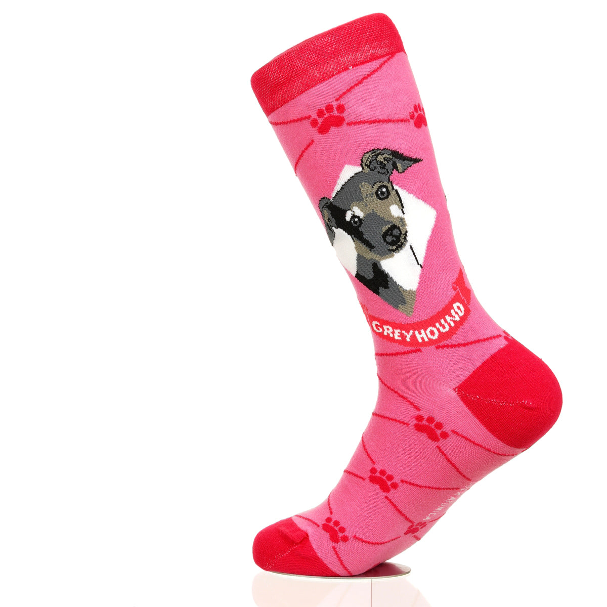 Greyhound | Argyle Pups