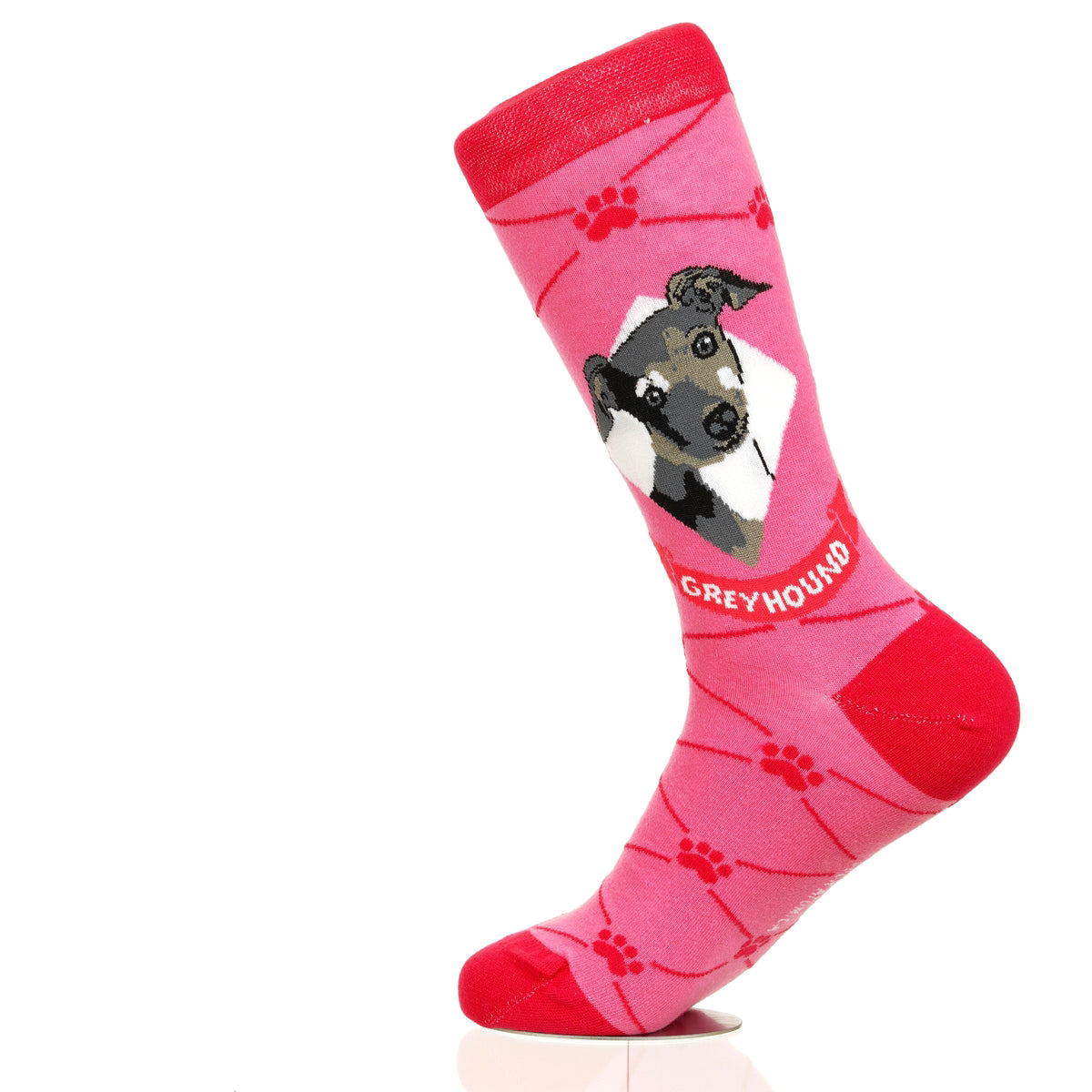 Greyhound | Argyle Pups