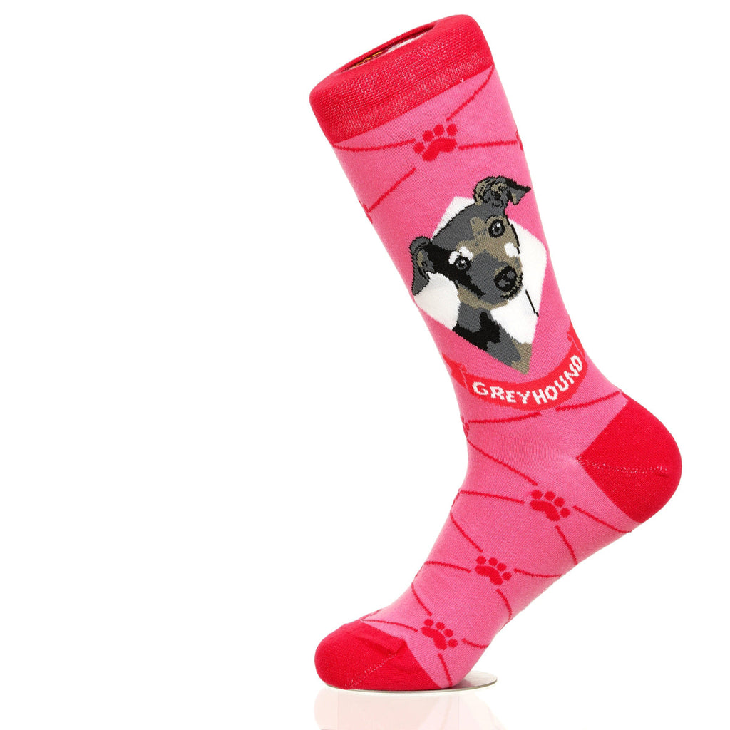 Greyhound | Argyle Pups