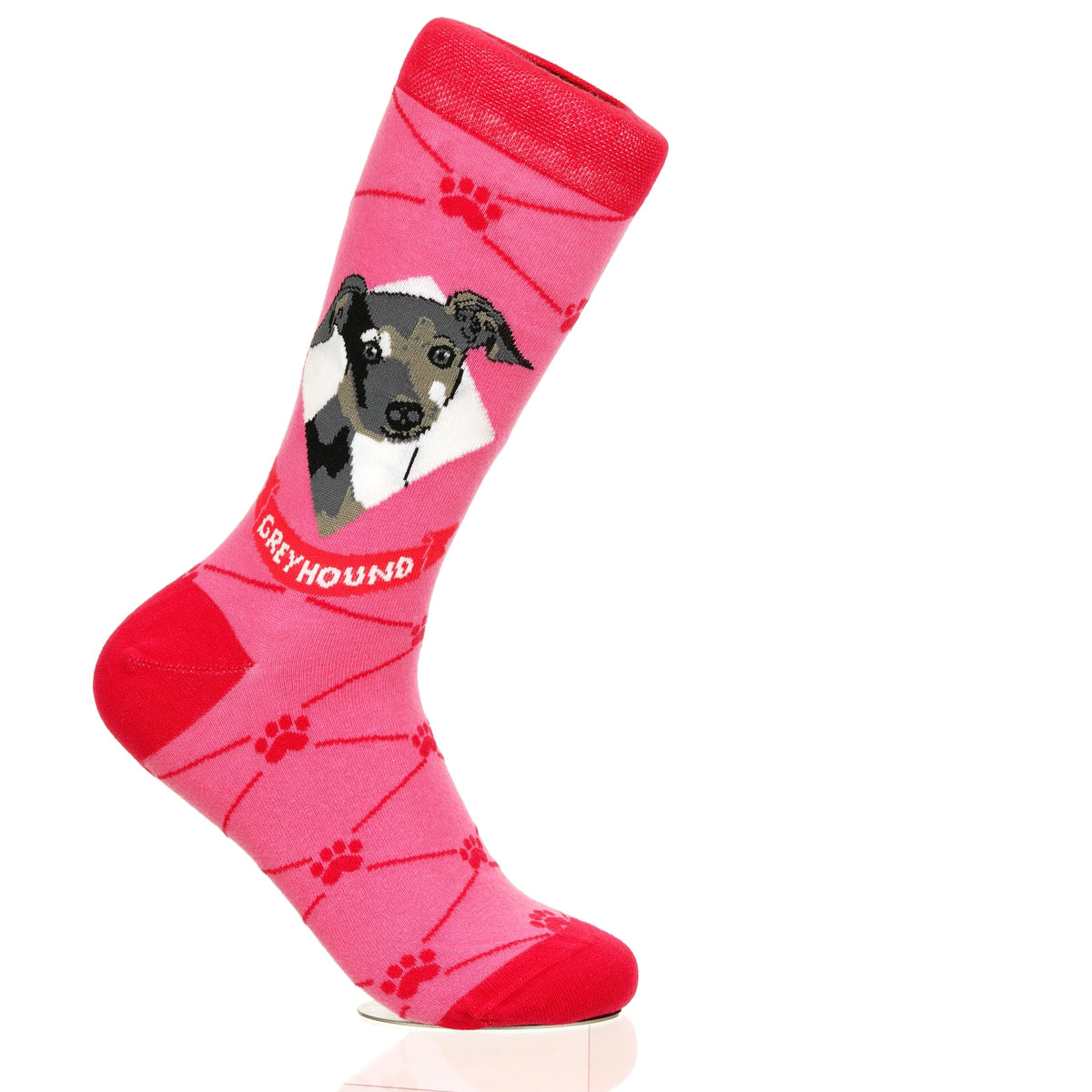 Greyhound | Argyle Pups