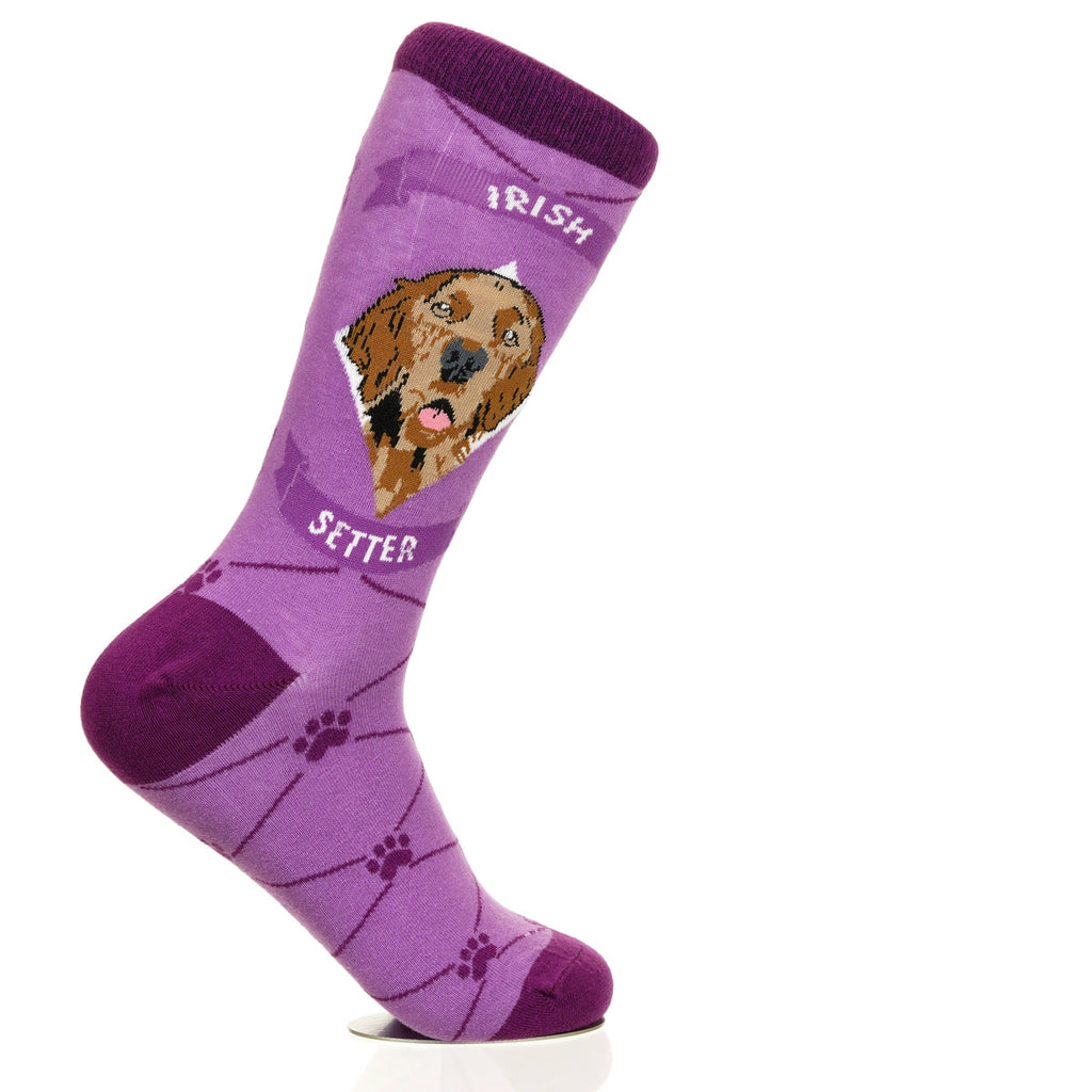 Irish Setter | Argyle Pups