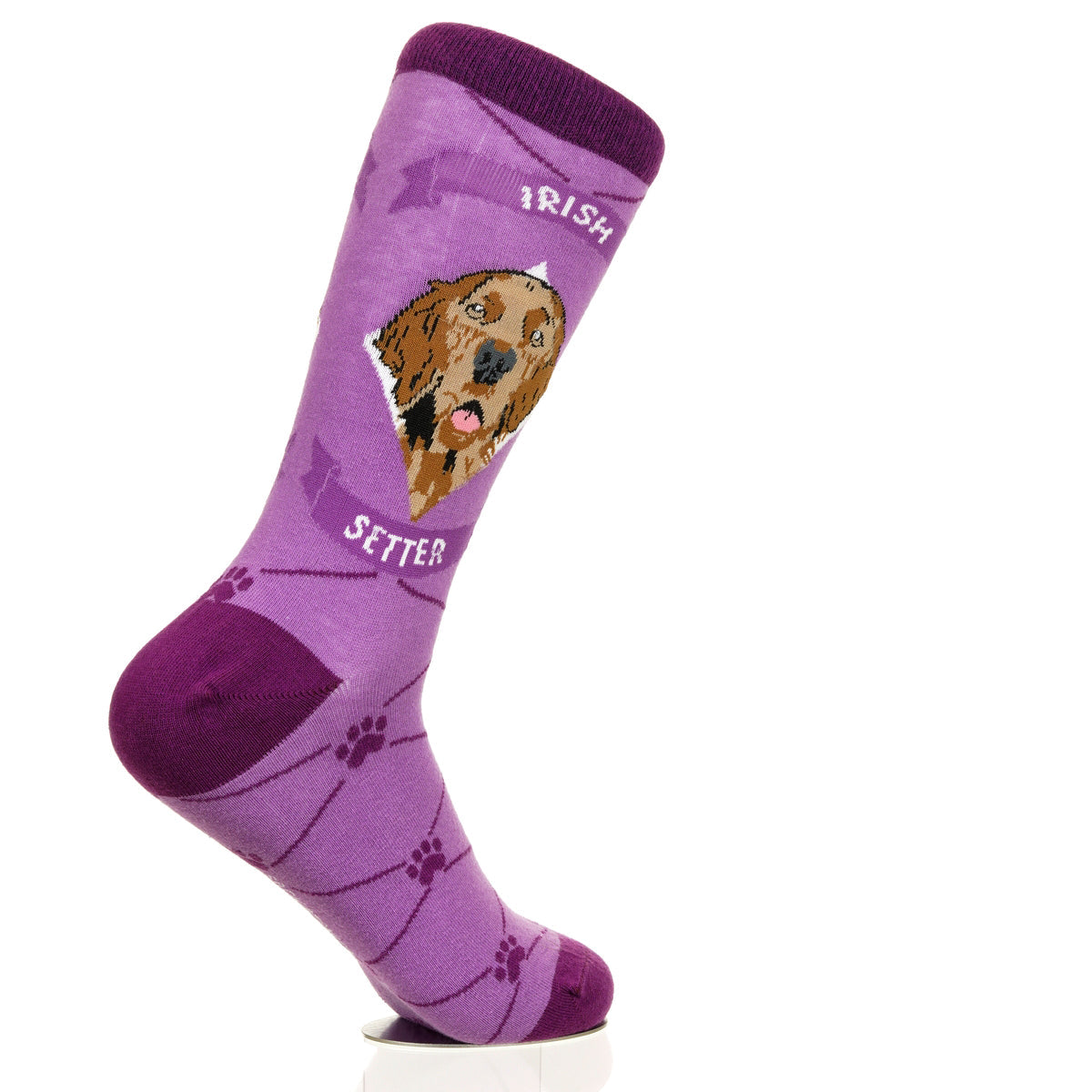 Irish Setter | Argyle Pups