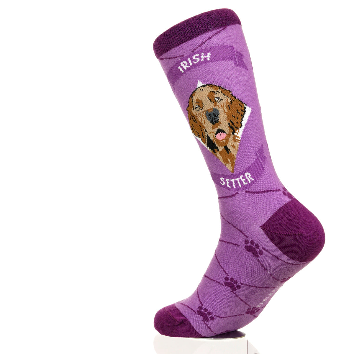 Irish Setter | Argyle Pups