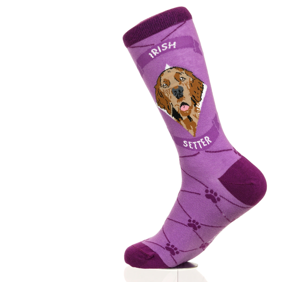 Irish Setter | Argyle Pups